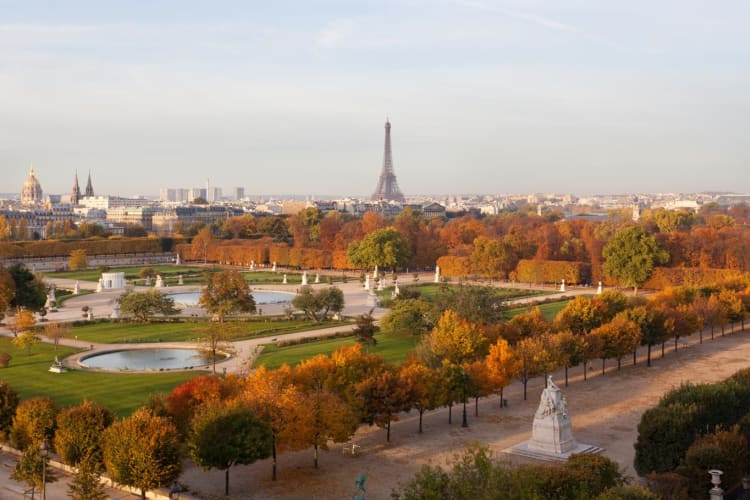 View Tuileries Eiffel Tower